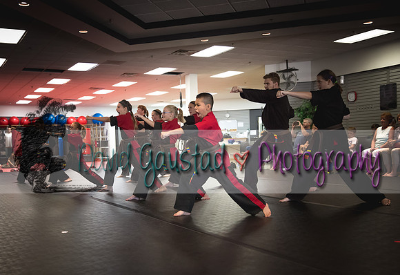 Midwest Professional Karate Black Belt Test 2016