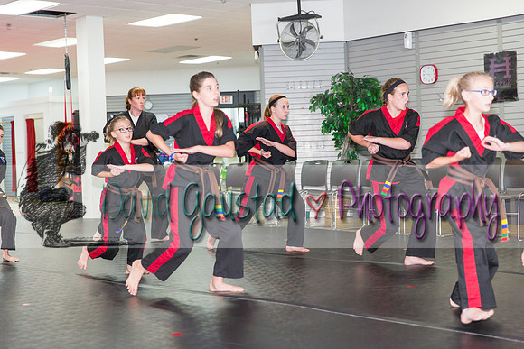 Midwest Professional Karate Black Belt Test 2016