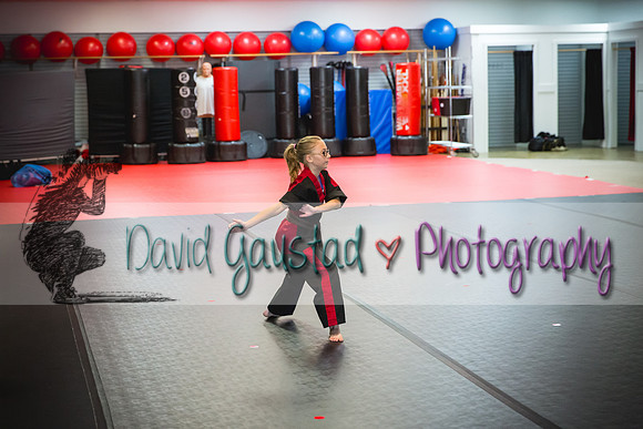 Midwest Professional Karate Black Belt Test 2016