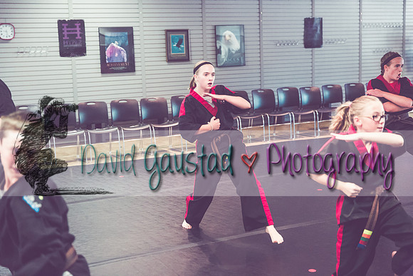 Midwest Professional Karate Black Belt Test 2016
