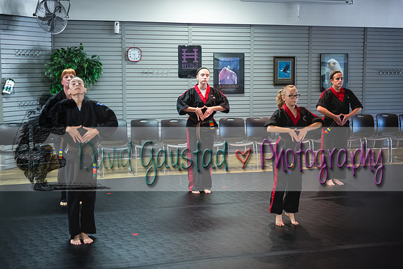 Midwest Professional Karate Black Belt Test 2016