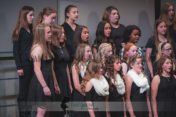 DeForest Middle School Spring Concert
