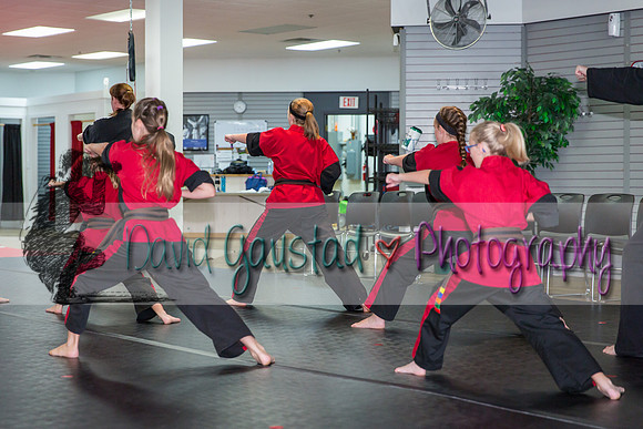 Midwest Professional Karate Black Belt Test 2016