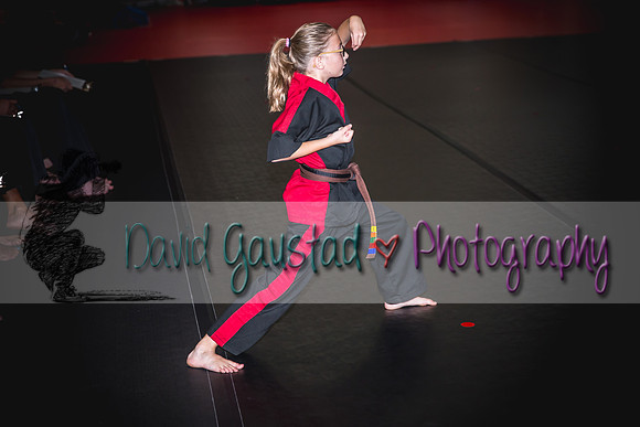 Midwest Professional Karate Black Belt Test 2016