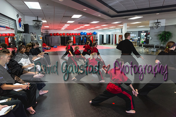 Midwest Professional Karate Black Belt Test 2016