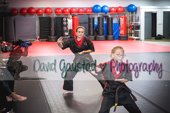 Midwest Professional Karate Black Belt Test 2016