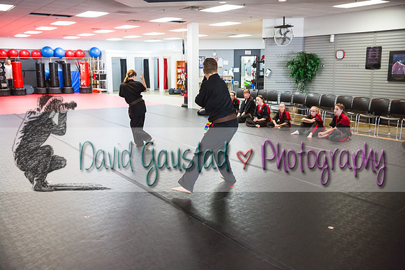 Midwest Professional Karate Black Belt Test 2016