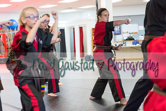 Midwest Professional Karate Black Belt Test 2016