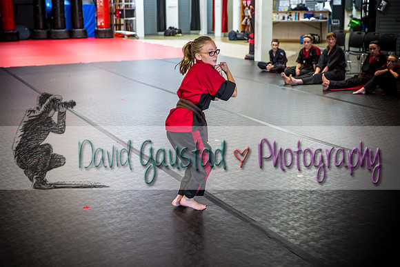 Midwest Professional Karate Black Belt Test 2016