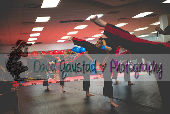 Midwest Professional Karate Black Belt Test 2016