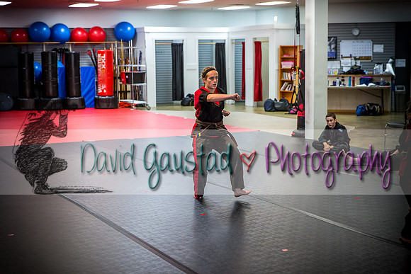 Midwest Professional Karate Black Belt Test 2016