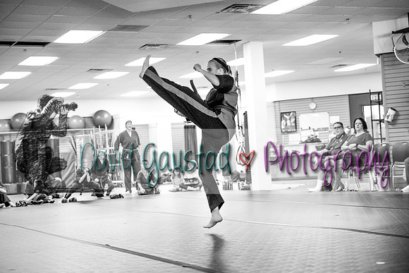 Midwest Professional Karate Black Belt Test 2016