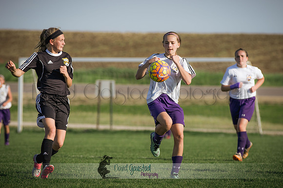 DeForest Norski soccer vs Rock on 5/21/2016