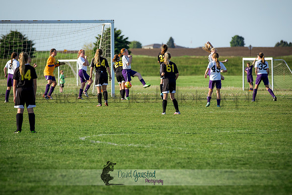DeForest Norski soccer vs Rock on 5/21/2016