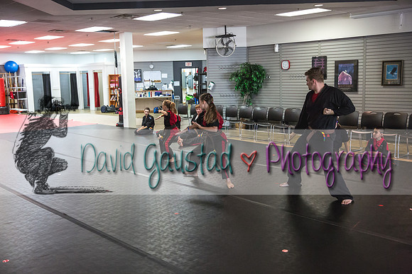 Midwest Professional Karate Black Belt Test 2016