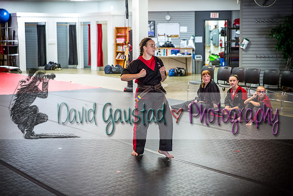 Midwest Professional Karate Black Belt Test 2016