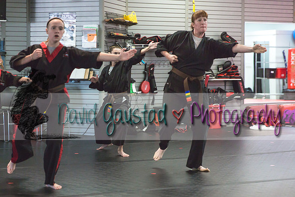 Midwest Professional Karate Black Belt Test 2016