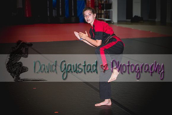 Midwest Professional Karate Black Belt Test 2016