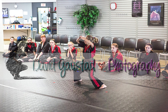 Midwest Professional Karate Black Belt Test 2016