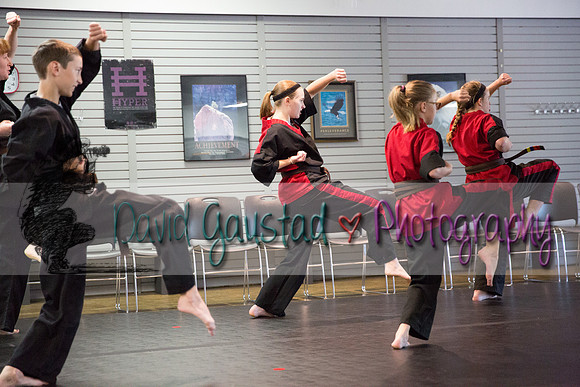 Midwest Professional Karate Black Belt Test 2016