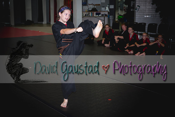 Midwest Professional Karate Black Belt Test 2016