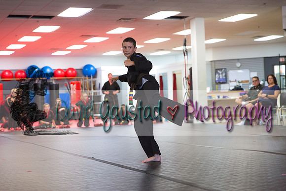 Midwest Professional Karate Black Belt Test 2016