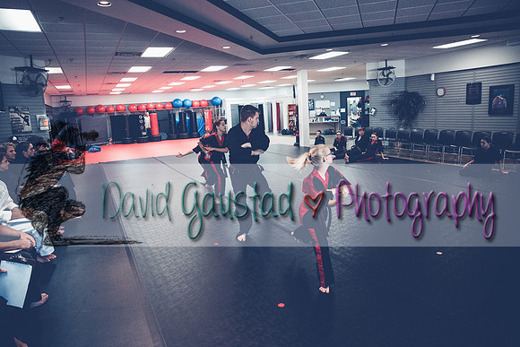 Midwest Professional Karate Black Belt Test 2016