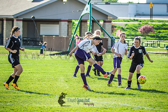 DeForest Norski soccer vs Rock on 5/21/2016