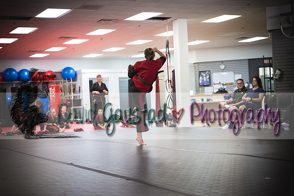 Midwest Professional Karate Black Belt Test 2016