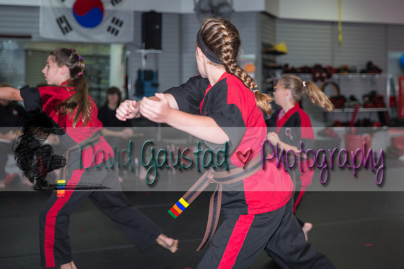 Midwest Professional Karate Black Belt Test 2016