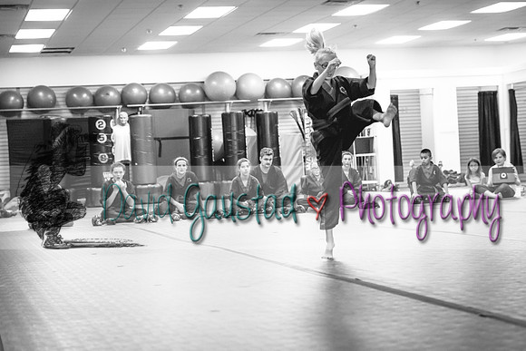 Midwest Professional Karate Black Belt Test 2016
