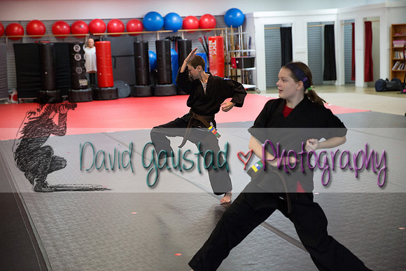 Midwest Professional Karate Black Belt Test 2016