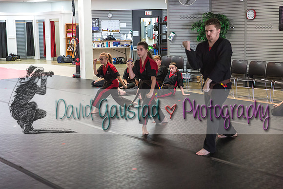 Midwest Professional Karate Black Belt Test 2016