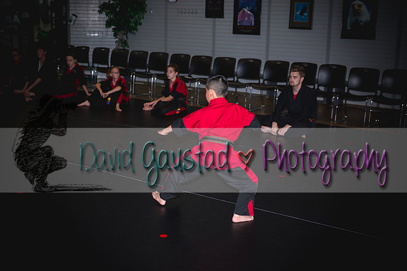 Midwest Professional Karate Black Belt Test 2016