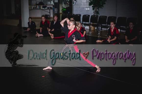Midwest Professional Karate Black Belt Test 2016