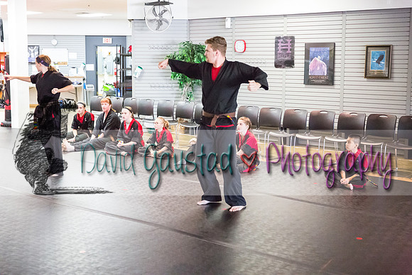 Midwest Professional Karate Black Belt Test 2016