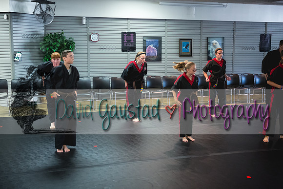 Midwest Professional Karate Black Belt Test 2016