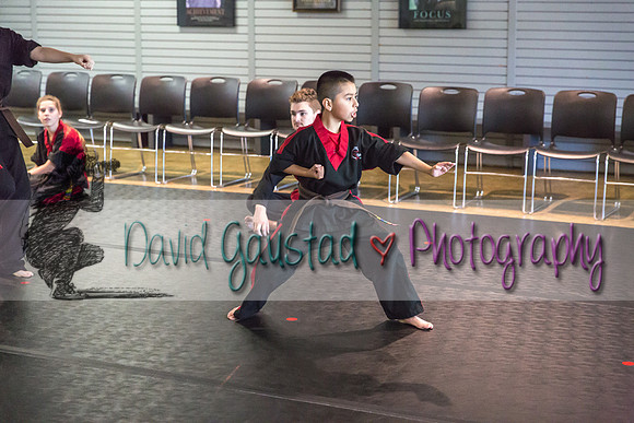 Midwest Professional Karate Black Belt Test 2016