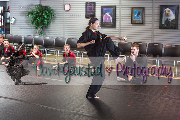 Midwest Professional Karate Black Belt Test 2016