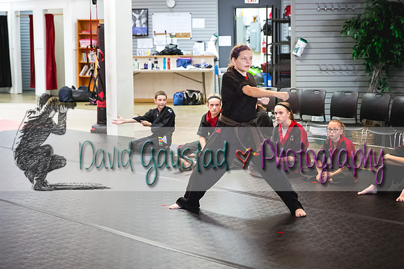 Midwest Professional Karate Black Belt Test 2016