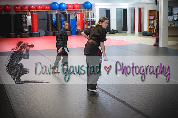 Midwest Professional Karate Black Belt Test 2016
