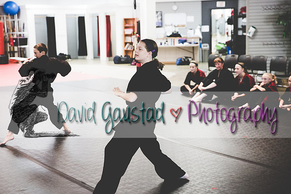Midwest Professional Karate Black Belt Test 2016