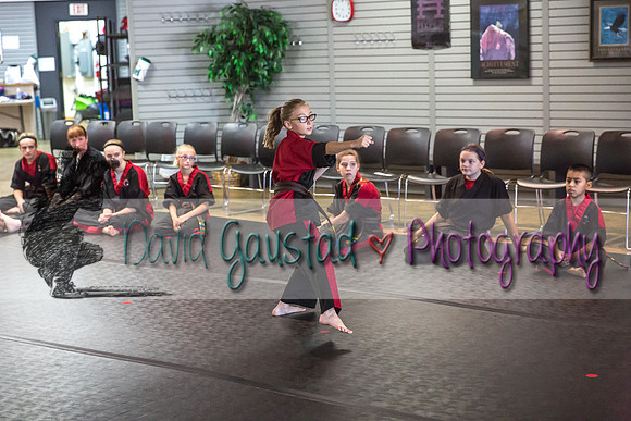 Midwest Professional Karate Black Belt Test 2016