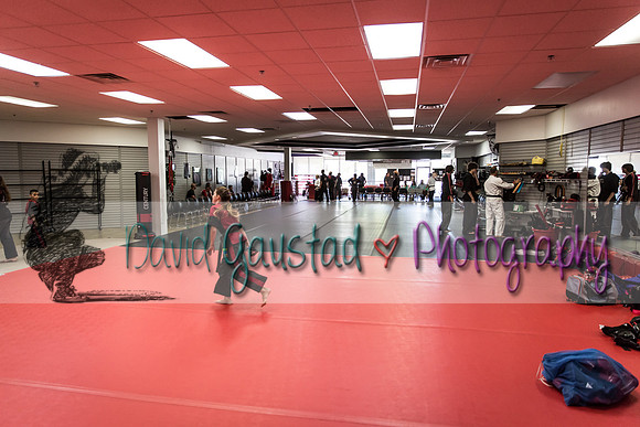 Midwest Professional Karate Black Belt Test 2016