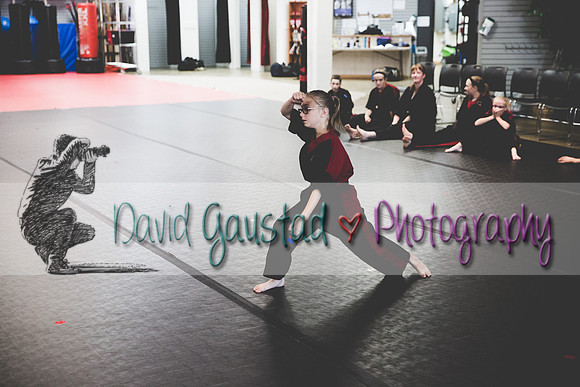 Midwest Professional Karate Black Belt Test 2016