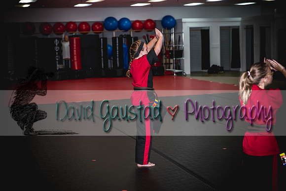 Midwest Professional Karate Black Belt Test 2016