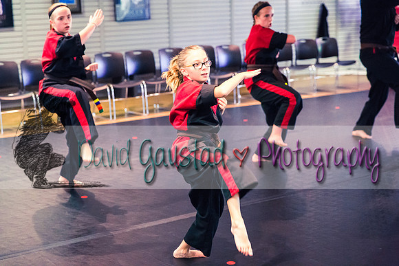 Midwest Professional Karate Black Belt Test 2016