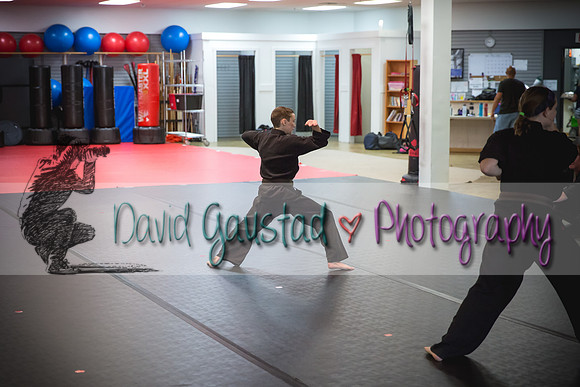Midwest Professional Karate Black Belt Test 2016