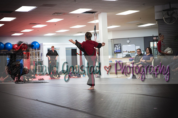Midwest Professional Karate Black Belt Test 2016
