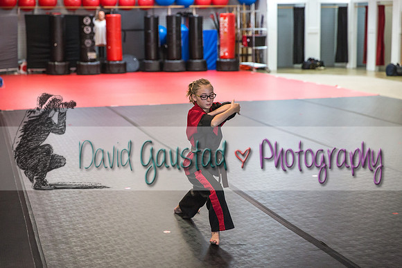 Midwest Professional Karate Black Belt Test 2016